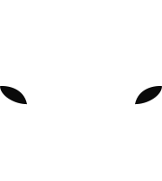 Borussia Monchengladbach