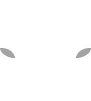 FSV Mainz