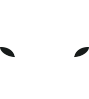 Sassuolo Calcio