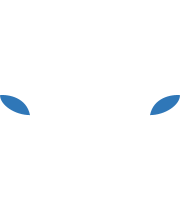 Club Puebla