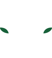FC Groningen