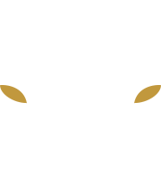 Vitoria SC Guimaraes