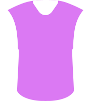 Al Ain FC