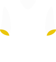 FC Famalicao